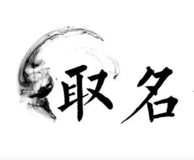  博野宝宝取名 大师一对一人工起名
